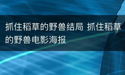 抓住稻草的野兽结局 抓住稻草的野兽电影海报