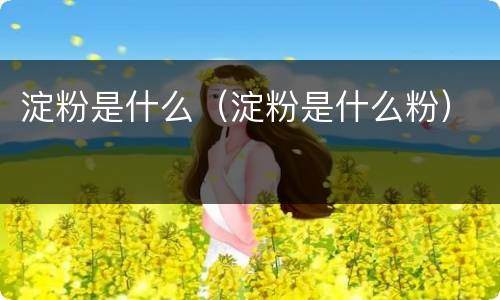 淀粉是什么（淀粉是什么粉）