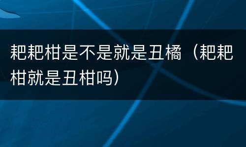 耙耙柑是不是就是丑橘（耙耙柑就是丑柑吗）