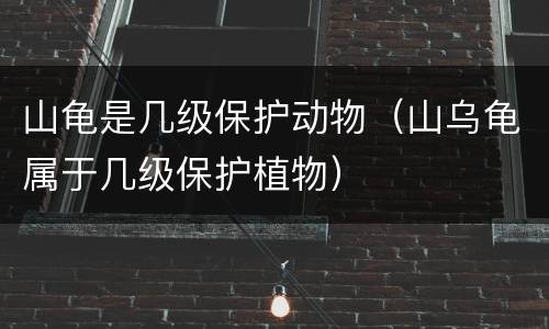 山龟是几级保护动物（山乌龟属于几级保护植物）
