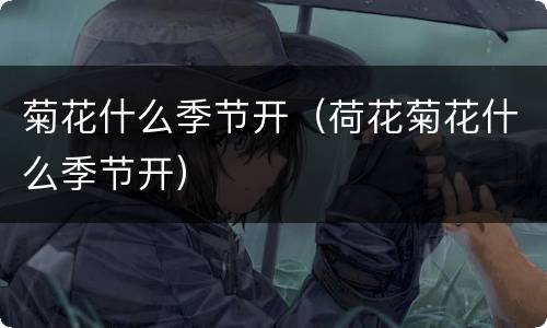 菊花什么季节开（荷花菊花什么季节开）
