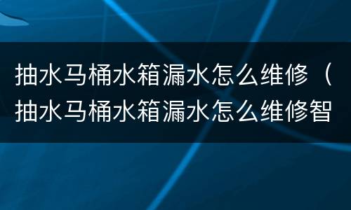 抽水马桶水箱漏水怎么维修（抽水马桶水箱漏水怎么维修智能）