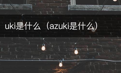 uki是什么（azuki是什么）