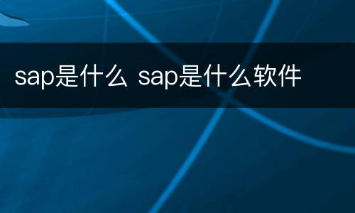 sap是什么 sap是什么软件