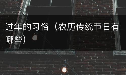 过年的习俗（农历传统节日有哪些）