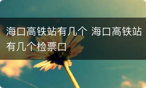 海口高铁站有几个 海口高铁站有几个检票口