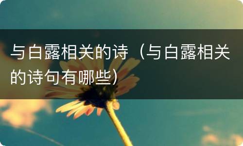 与白露相关的诗（与白露相关的诗句有哪些）