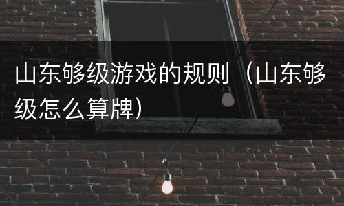 山东够级游戏的规则（山东够级怎么算牌）