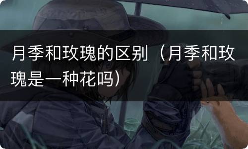 月季和玫瑰的区别（月季和玫瑰是一种花吗）