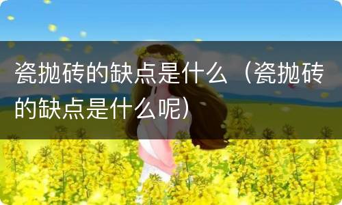 瓷抛砖的缺点是什么（瓷抛砖的缺点是什么呢）