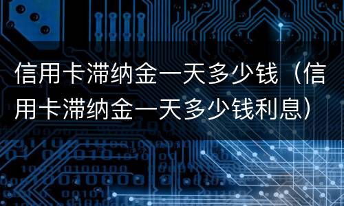 信用卡滞纳金一天多少钱（信用卡滞纳金一天多少钱利息）