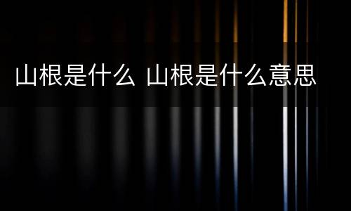 山根是什么 山根是什么意思