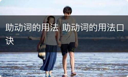 助动词的用法 助动词的用法口诀
