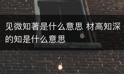 见微知著是什么意思 材高知深的知是什么意思