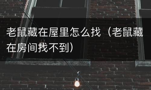 老鼠藏在屋里怎么找（老鼠藏在房间找不到）