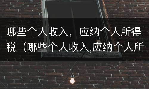 哪些个人收入，应纳个人所得税（哪些个人收入,应纳个人所得税和增值税）
