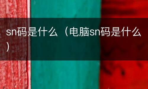 sn码是什么（电脑sn码是什么）
