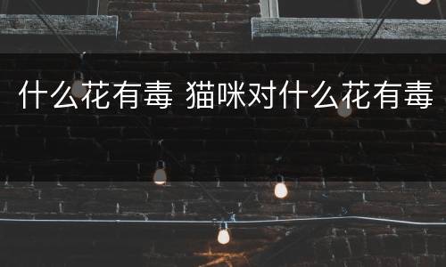 什么花有毒 猫咪对什么花有毒