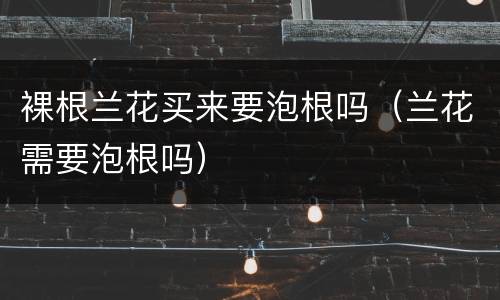 裸根兰花买来要泡根吗（兰花需要泡根吗）