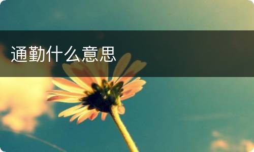 通勤什么意思