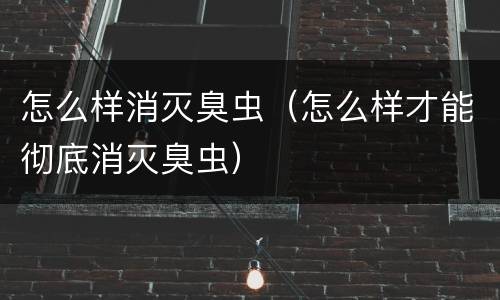 怎么样消灭臭虫（怎么样才能彻底消灭臭虫）