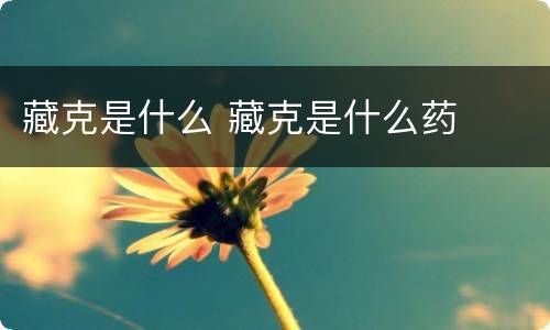 藏克是什么 藏克是什么药