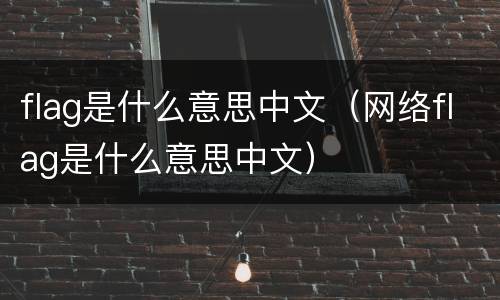 flag是什么意思中文（网络flag是什么意思中文）