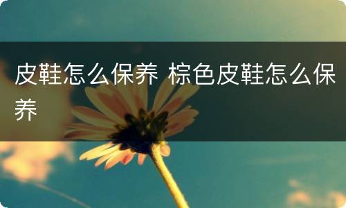皮鞋怎么保养 棕色皮鞋怎么保养