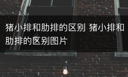 猪小排和肋排的区别 猪小排和肋排的区别图片