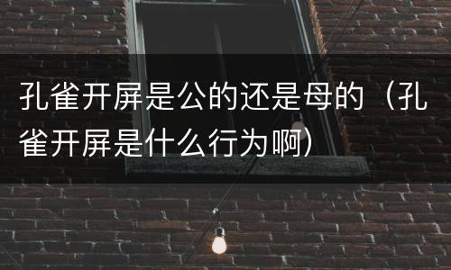 孔雀开屏是公的还是母的（孔雀开屏是什么行为啊）
