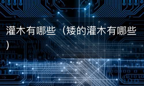 灌木有哪些（矮的灌木有哪些）