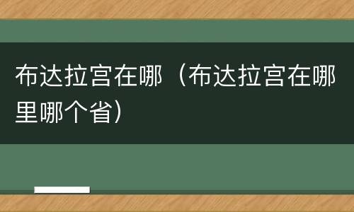 布达拉宫在哪（布达拉宫在哪里哪个省）