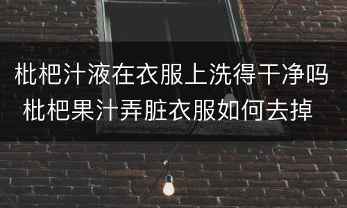 枇杷汁液在衣服上洗得干净吗 枇杷果汁弄脏衣服如何去掉