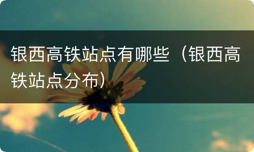 银西高铁站点有哪些（银西高铁站点分布）