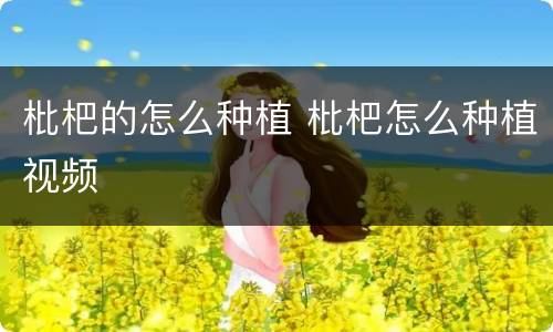 枇杷的怎么种植 枇杷怎么种植视频