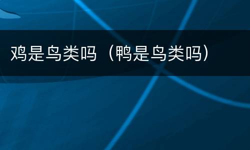 鸡是鸟类吗（鸭是鸟类吗）