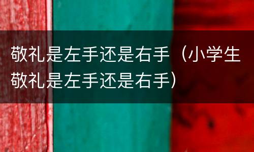 敬礼是左手还是右手（小学生敬礼是左手还是右手）