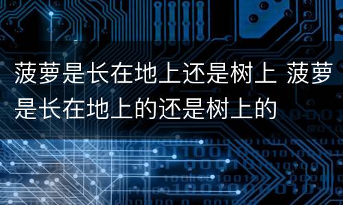 菠萝是长在地上还是树上 菠萝是长在地上的还是树上的