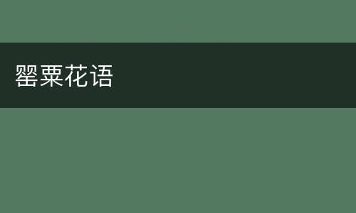 罂粟花语