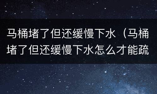 马桶堵了但还缓慢下水（马桶堵了但还缓慢下水怎么才能疏通 百度网盘）