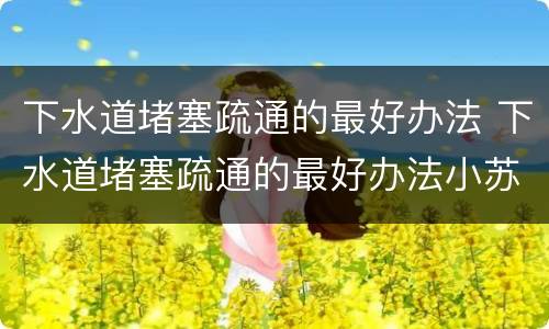 下水道堵塞疏通的最好办法 下水道堵塞疏通的最好办法小苏打