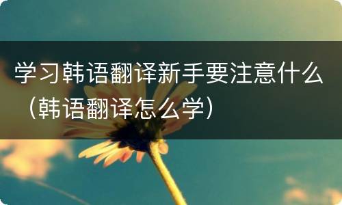 学习韩语翻译新手要注意什么（韩语翻译怎么学）