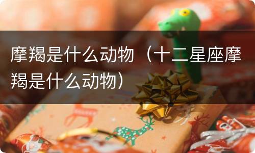 摩羯是什么动物（十二星座摩羯是什么动物）