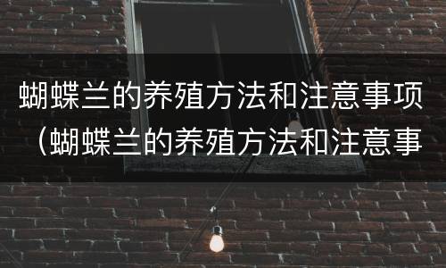蝴蝶兰的养殖方法和注意事项（蝴蝶兰的养殖方法和注意事项视频）