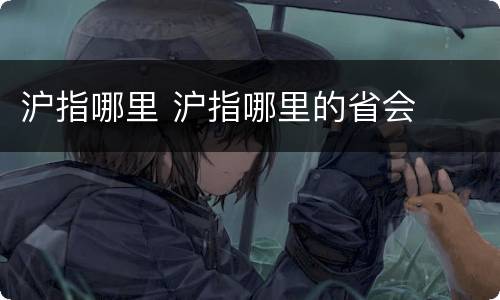 沪指哪里 沪指哪里的省会