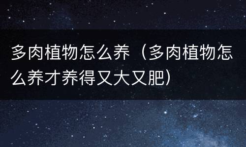 多肉植物怎么养（多肉植物怎么养才养得又大又肥）
