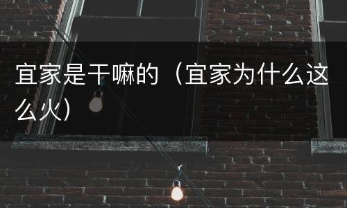 宜家是干嘛的（宜家为什么这么火）