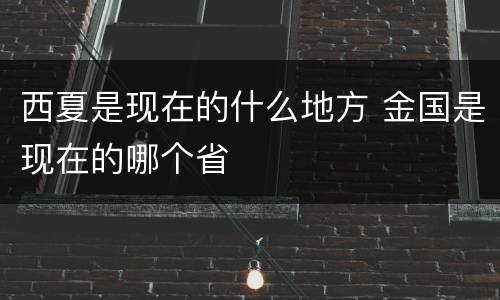 西夏是现在的什么地方 金国是现在的哪个省