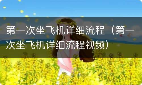第一次坐飞机详细流程（第一次坐飞机详细流程视频）
