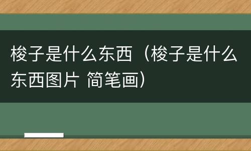 梭子是什么东西（梭子是什么东西图片 简笔画）